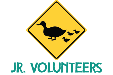 VBS 2024 Web Design Jr. Volunteer Header