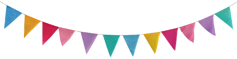 Rally Flags 800x200 1